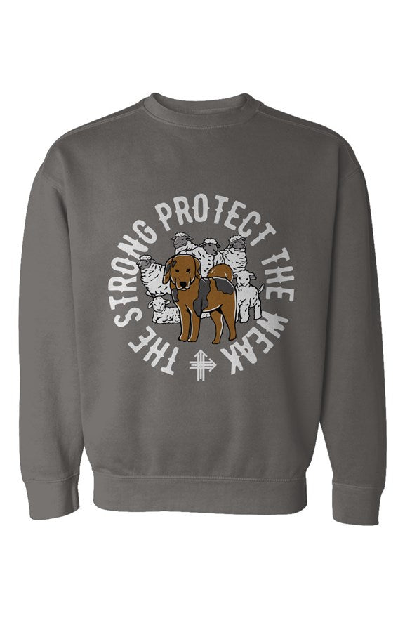 THE STRONG PROTECT THE WEAK Upward & Onward Gym Sweatshirt