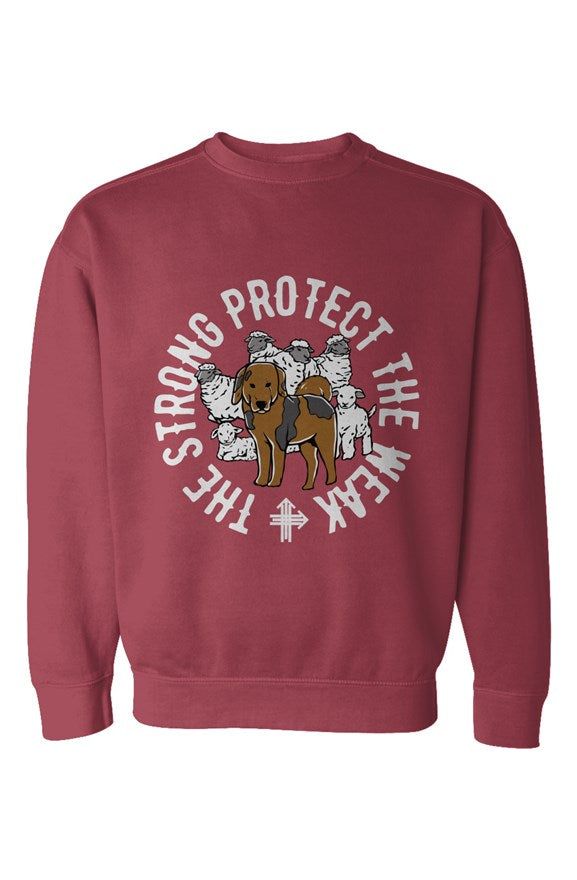 THE STRONG PROTECT THE WEAK Upward & Onward Gym Sweatshirt 