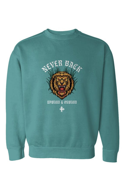 NEVER BACK Upward & Onward Gym Sweatshirt 